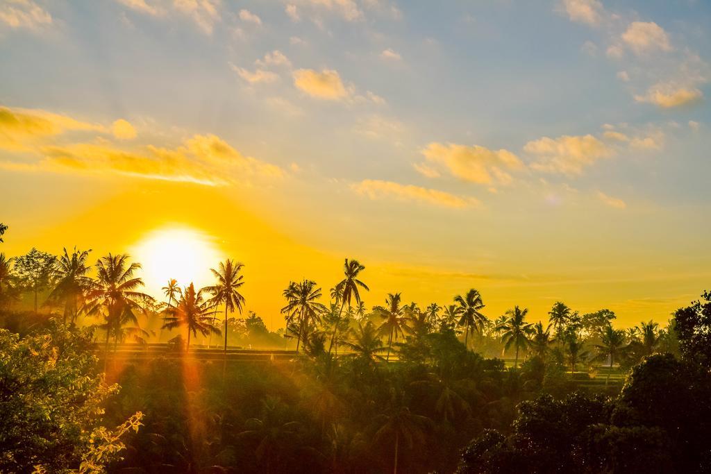 Hotel Griya Sriwedari Ubud Exteriér fotografie