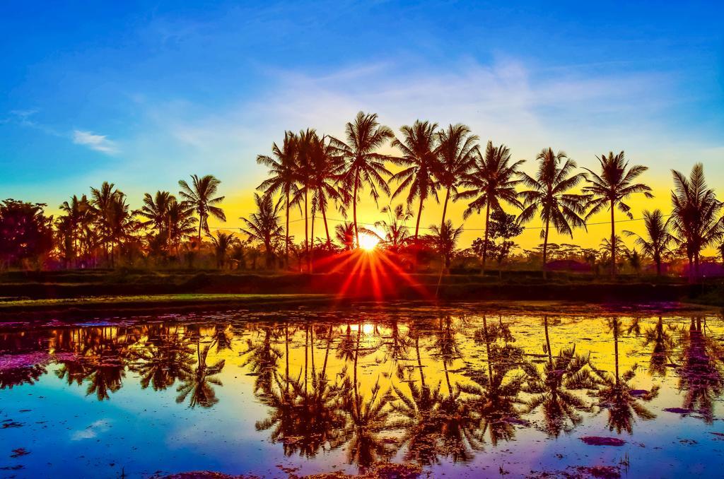 Hotel Griya Sriwedari Ubud Exteriér fotografie