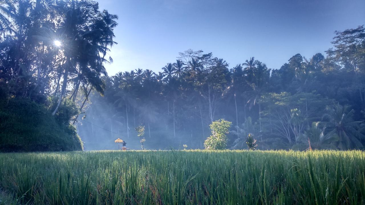 Hotel Griya Sriwedari Ubud Exteriér fotografie