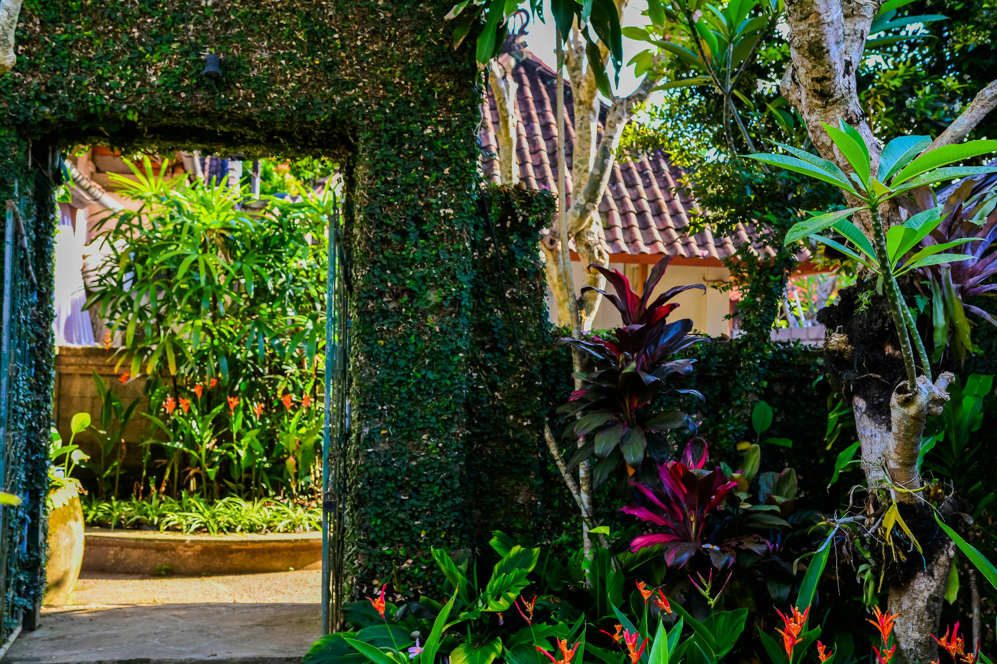 Hotel Griya Sriwedari Ubud Exteriér fotografie