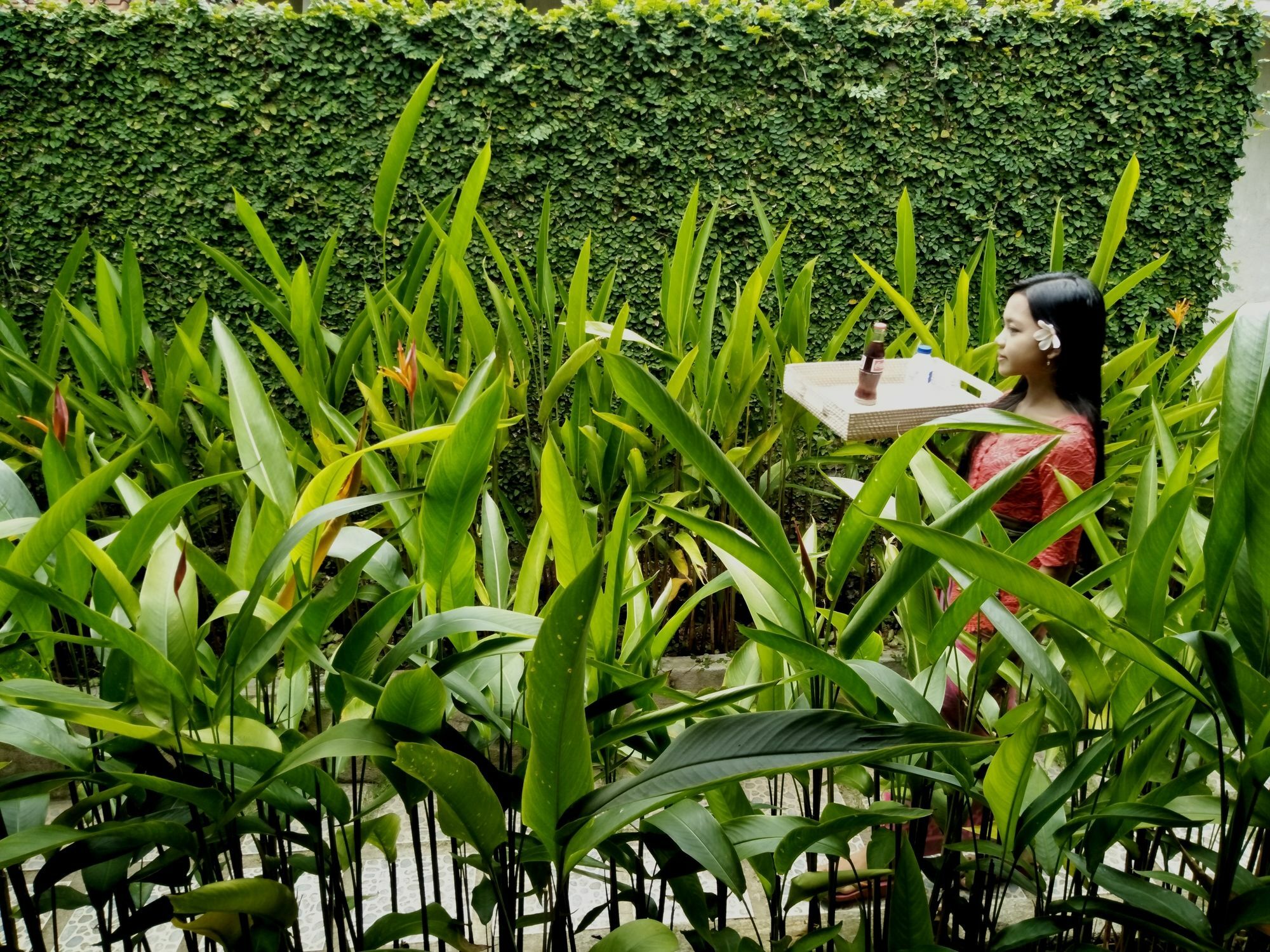 Hotel Griya Sriwedari Ubud Exteriér fotografie